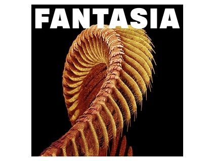 SLIFT - FANTASIA (CD)