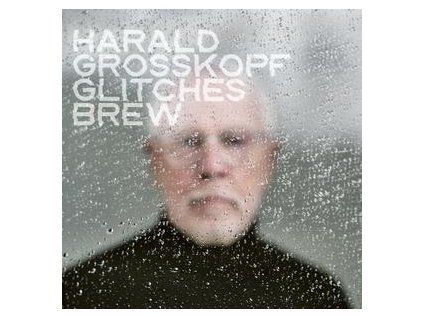 GROSSKOPF, HARALD - GLITCHES BREW (CD)