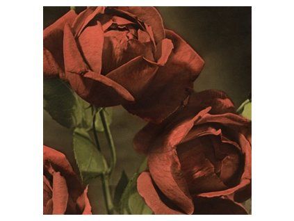 CINDY - ANOTHER COUNTRY (CD)