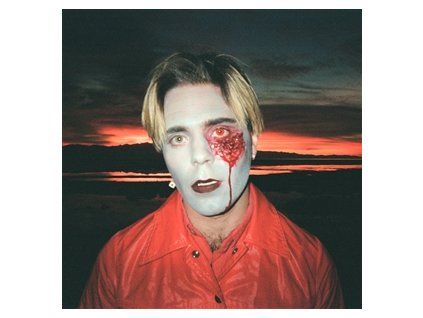 CHOIR BOY - GATHERING SWANS (CD)