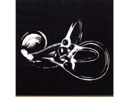 SKELETON KEY - OBTAINIUM (CD)