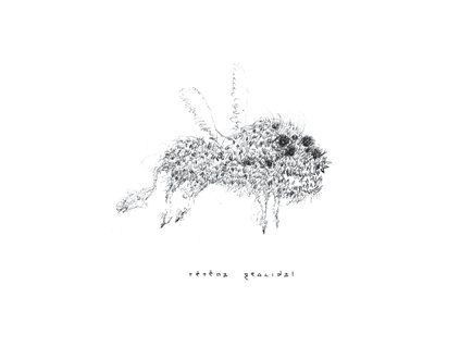TE_TE_MA - GEOCIDAL (CD)
