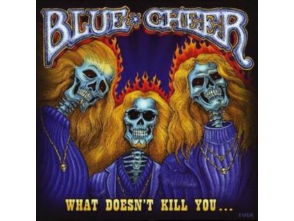 Blue Cheer - What Doesnt Kill You (Music CD)