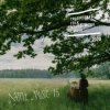 VARIOUS ARTISTS - Native Music 15: Traditional Folk & World Music From Latvia (CD)