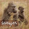 VARIOUS ARTISTS - Memories Of Serengeti (CD)