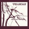 SANDERS, PHAROAH - PHAROAH (INCL. 70P BOOKLET) (2 CD)