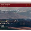 ALTOMONTE ORCHESTRA - Anton Bruckner: Symphonie Vii (CD)
