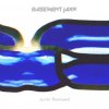 Basement Jaxx - Junto Remixed CD