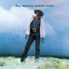 4015372 taj mahal giant step de ole folks at home cd
