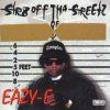 EAZY-E - Str8 Off The Streets Of Muthaphukkin (CD)
