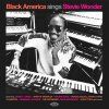 Black America Sings Stevie Wonder (CD)