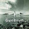 Gwennyn - Immram (CD)