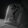 VISIBLE CLOAKS - PARADESSENCE (CD)