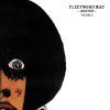 Fleetwood Mac - Boston Volume 2 (CD)