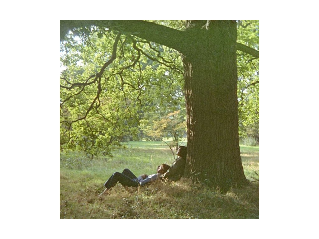 JOHN LENNON - Plastic Ono Band (LP)