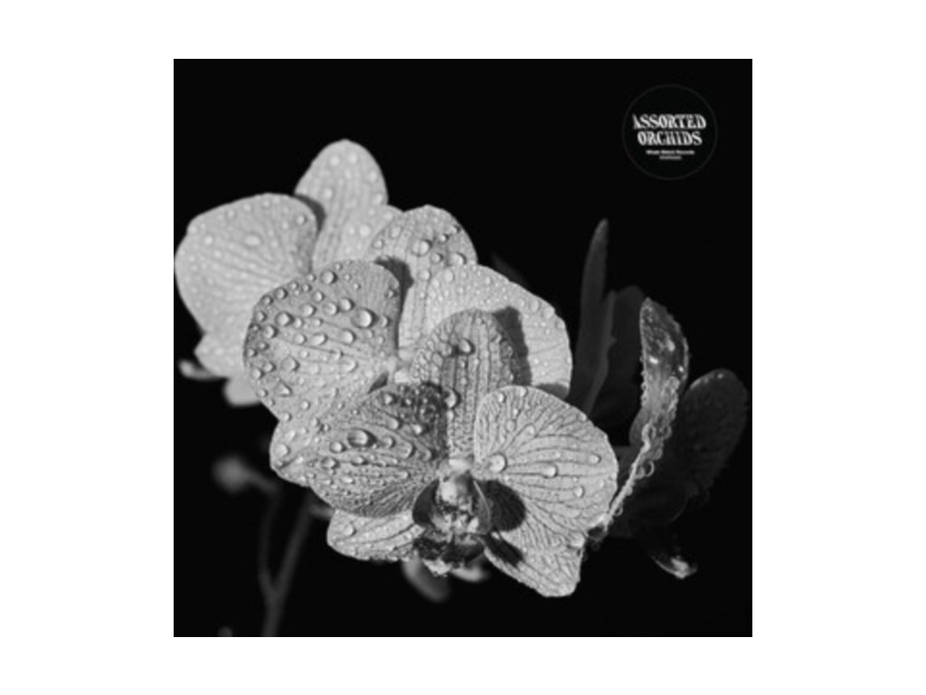 ASSORTED ORCHIDS - Assorted Orchids (LP)