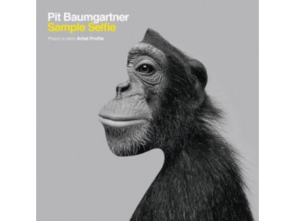 Pit Baumgartner (De-Phazz) - Sample Selfie (LP)