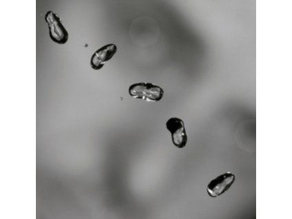 2675866 peter gabriel up lp
