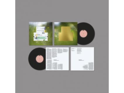 SPIRITUALIZED - Everything Was Beautiful (LP)