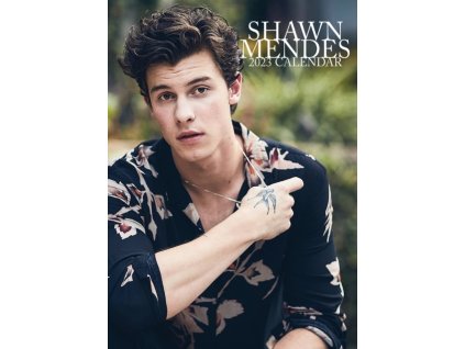 shawn mendes a3 kalendář 2023