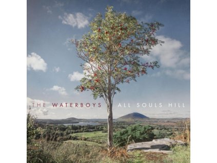 The Waterboys - All Souls Hill (LP)