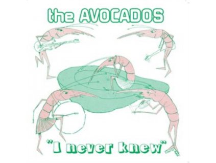 AVOCADOS - I Never Knew (7" Vinyl)
