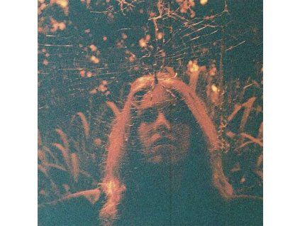 2841296 turnover peripheral vision 1 lp vinyl