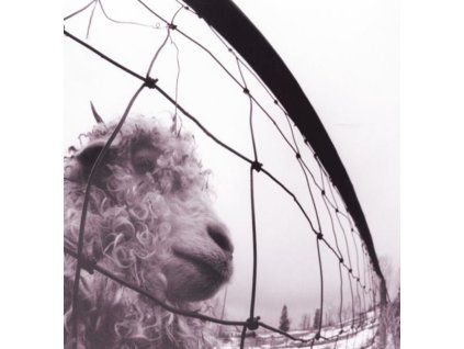 2861480 pearl jam vs lp