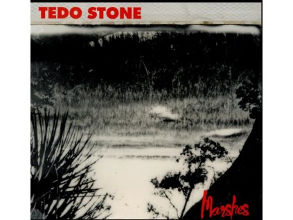 TEDO STONE - Marshes (LP)