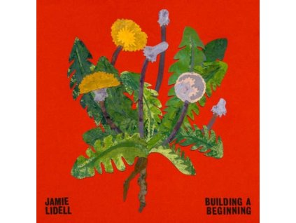 JAMIE LIDELL - Building A Beginning (LP)