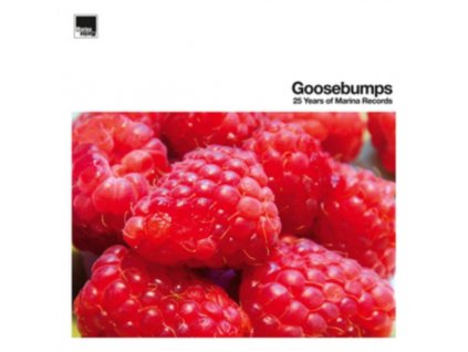 VARIOUS ARTISTS - Goosebumps 25 Years Of (LP)