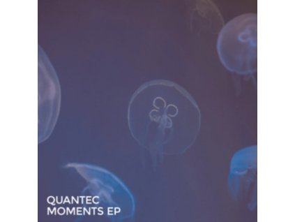 QUANTEC - Moments EP (12" Vinyl)