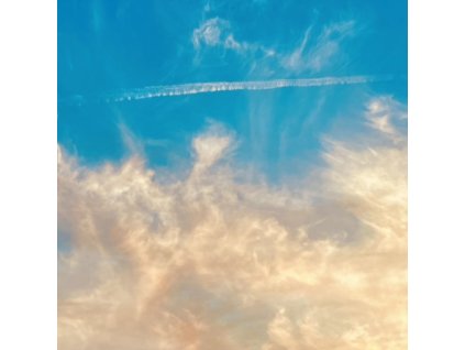 THIRTY SECONDS TO MARS - Its The End Of The World. But Its A Beautiful Day (LP)