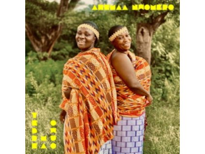 AHEMAA NWOMKRO - Yebre Ma Owuo (7" Vinyl)