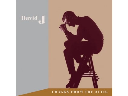 DAVID J - Tracks From The Attic (RSD 2023) (LP)