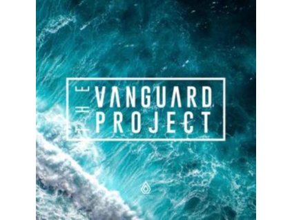 VANGUARD PROJECT - Stitches / What U Do Remixes (10" Vinyl)