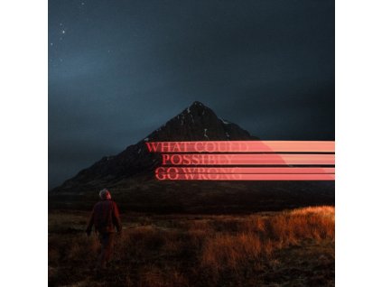 DOMINIC FIKE - What Could Possibly Go Wrong? (LP)