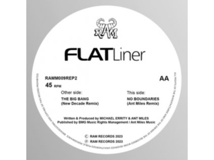 FLATLINER - The Big Bang (New Decade Remix (12" Vinyl)