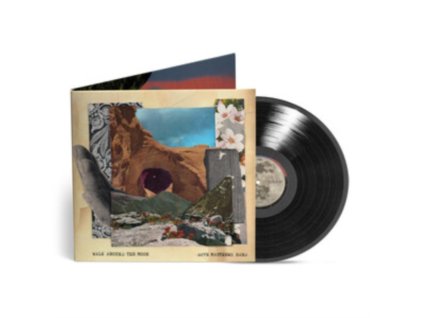 MATTHEWS, DAVE -BAND- - WALK AROUND THE MOON (1 LP / vinyl)