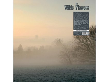 WILDE FLOWERS - The Wilde Flowers (LP)