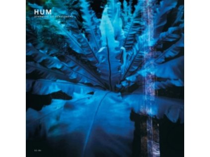 HUM - Downwards Is Heavenward (LP)
