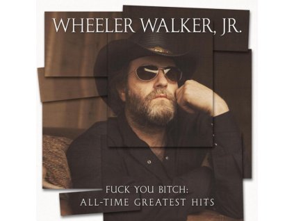 WHEELER WALKER JR. - Fuck You Bitch: All-Time Greatest Hits (LP)