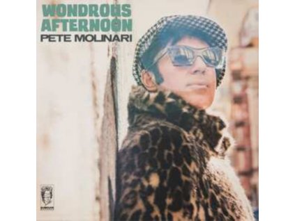 PETE MOLINARI - Wondrous Afternoon (LP)