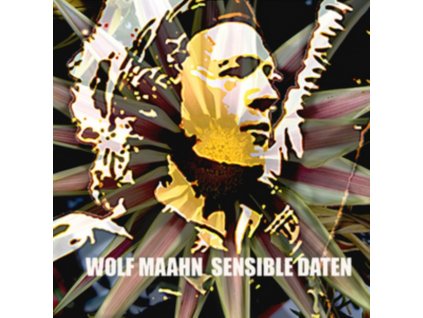 WOLF MAAHN - Sensible Daten (12" Vinyl)
