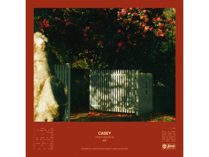 CASEY - How To Disappear (Transparent Yellow Vinyl) (LP)