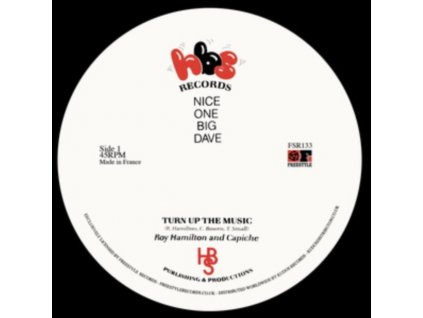 ROY HAMILTON & CAPICHE - Turn Up The Music (12" Vinyl)