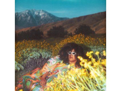 3085117 brittany howard what now lp