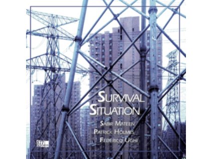 SABIR MATEEN / PATRICK HOLMES / FEDERICO UGHI - Survival Situation (LP)