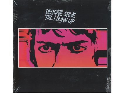 DELICATE STEVE - Till I Burn Up (LP)