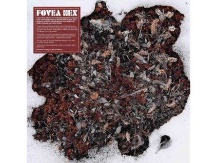 FOVEA HEX - The Salt Garden (Landscaped) (LP)